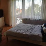 Rodzinny Gratis Plaza Lodki Kajaki Mikołajki